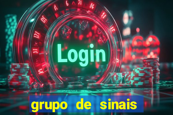 grupo de sinais fortune rabbit